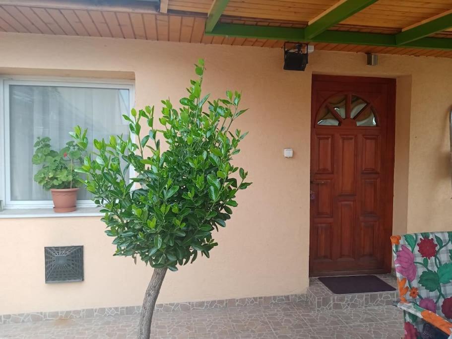 D38 Pestelizabeth Apartman Apartment Budapest Luaran gambar
